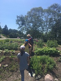 Jardin communautaire