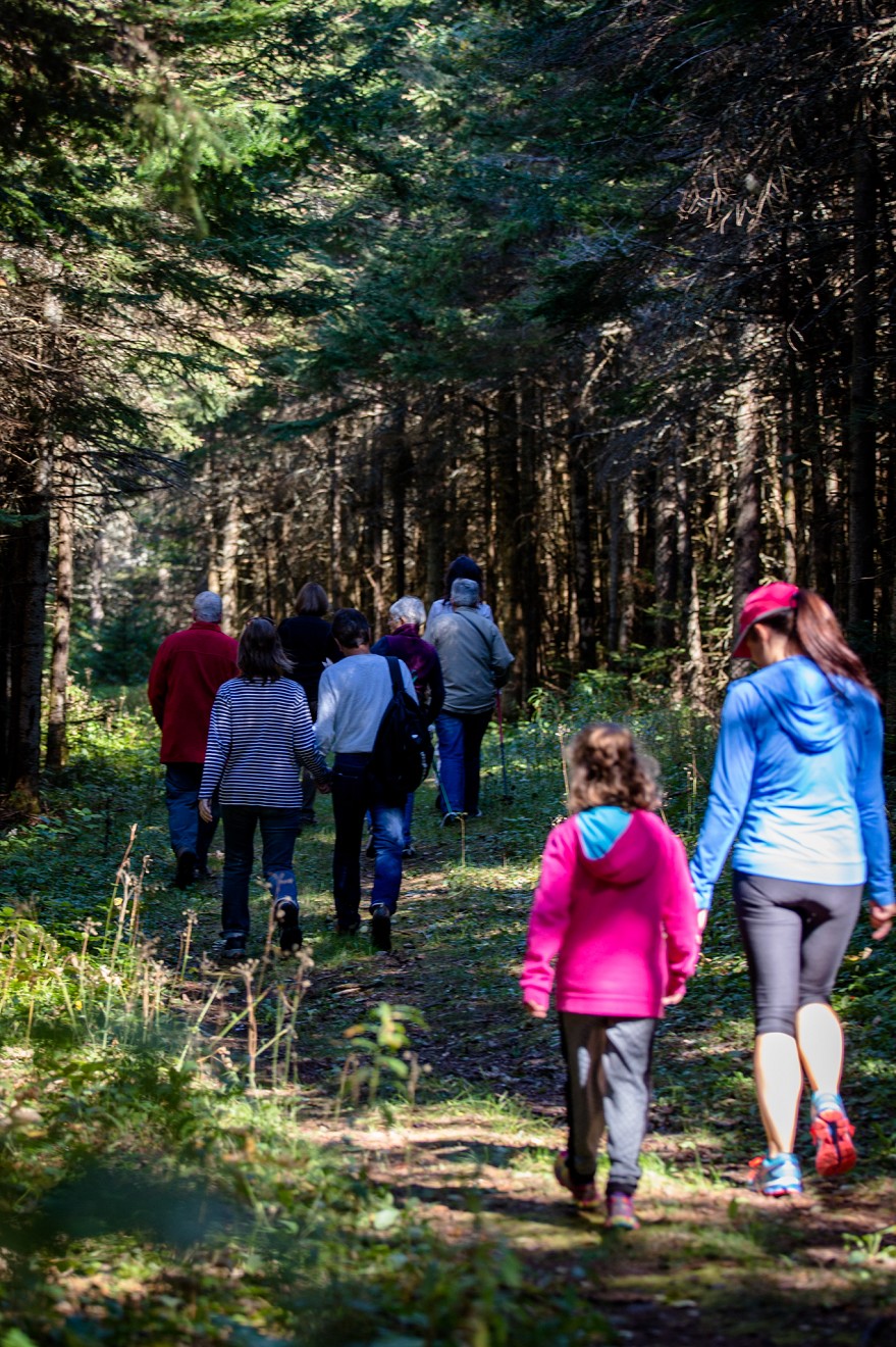 Sentier pédestre