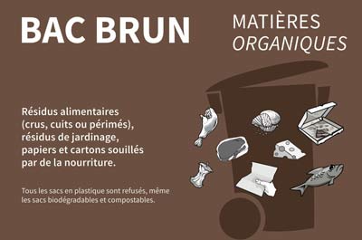 Bac brun