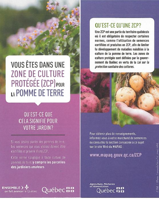 Pomme de terre SZP