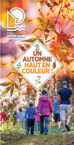 Programmation automne 2020