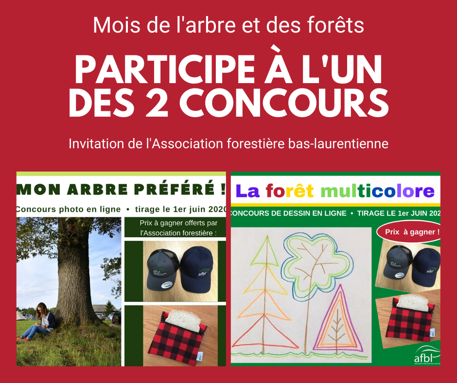 Concours mon arbre