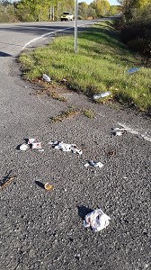 Déchets sauvages 1