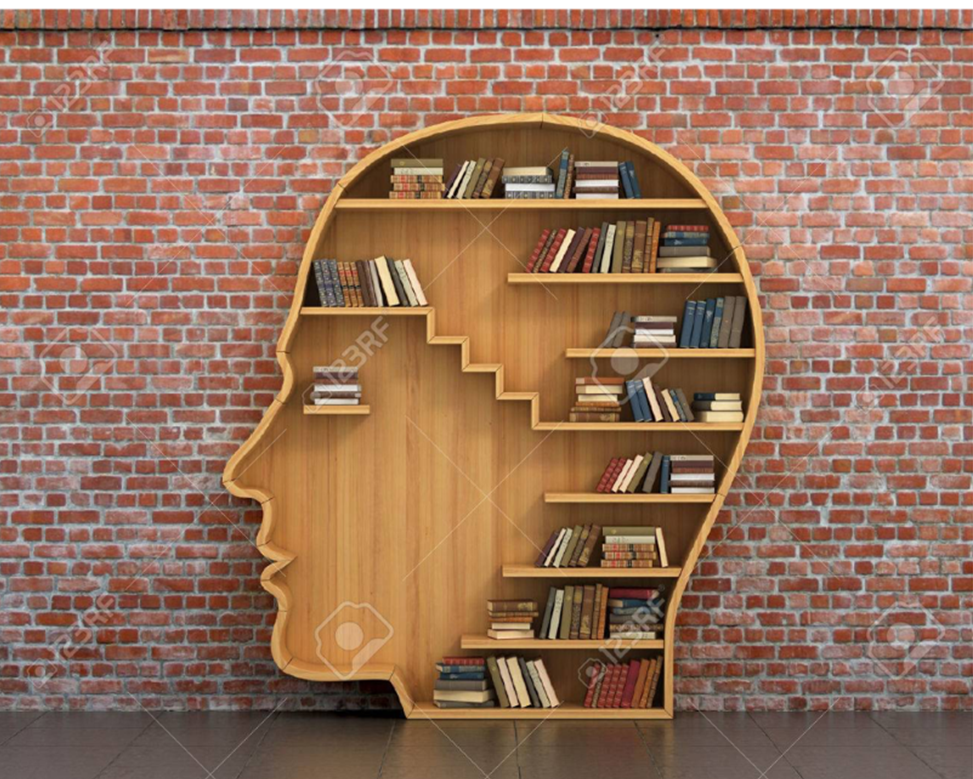 Cerveau livres