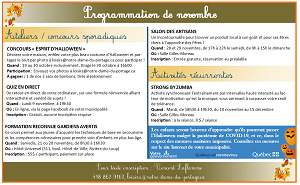 Programmation - novembre 2020